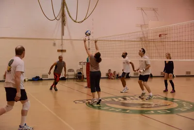 DSC_1816 (Large).JPG